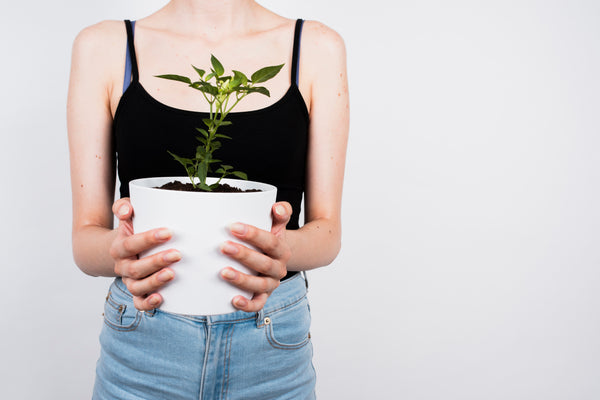Powerful Plants: 4 plants that can help on your period
