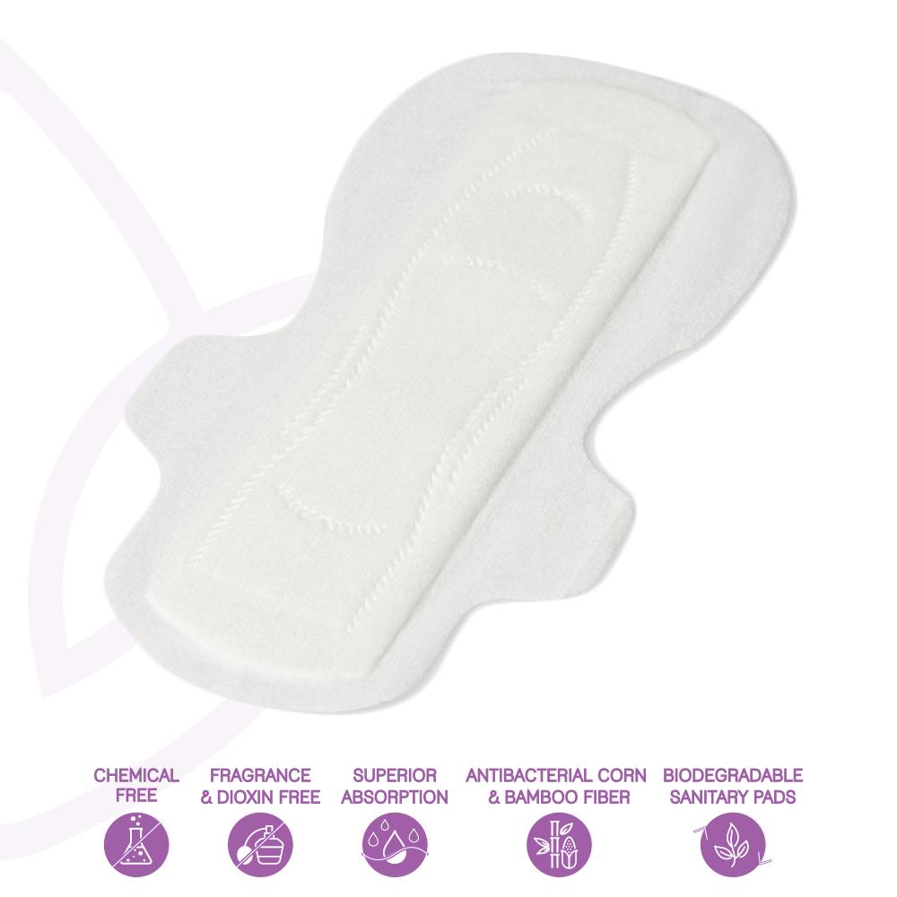 LiZZOM Quarterly Bundle Pack (A combination of 3 packs of your chosen size of pads + 3 packs of your favourite daily liners)