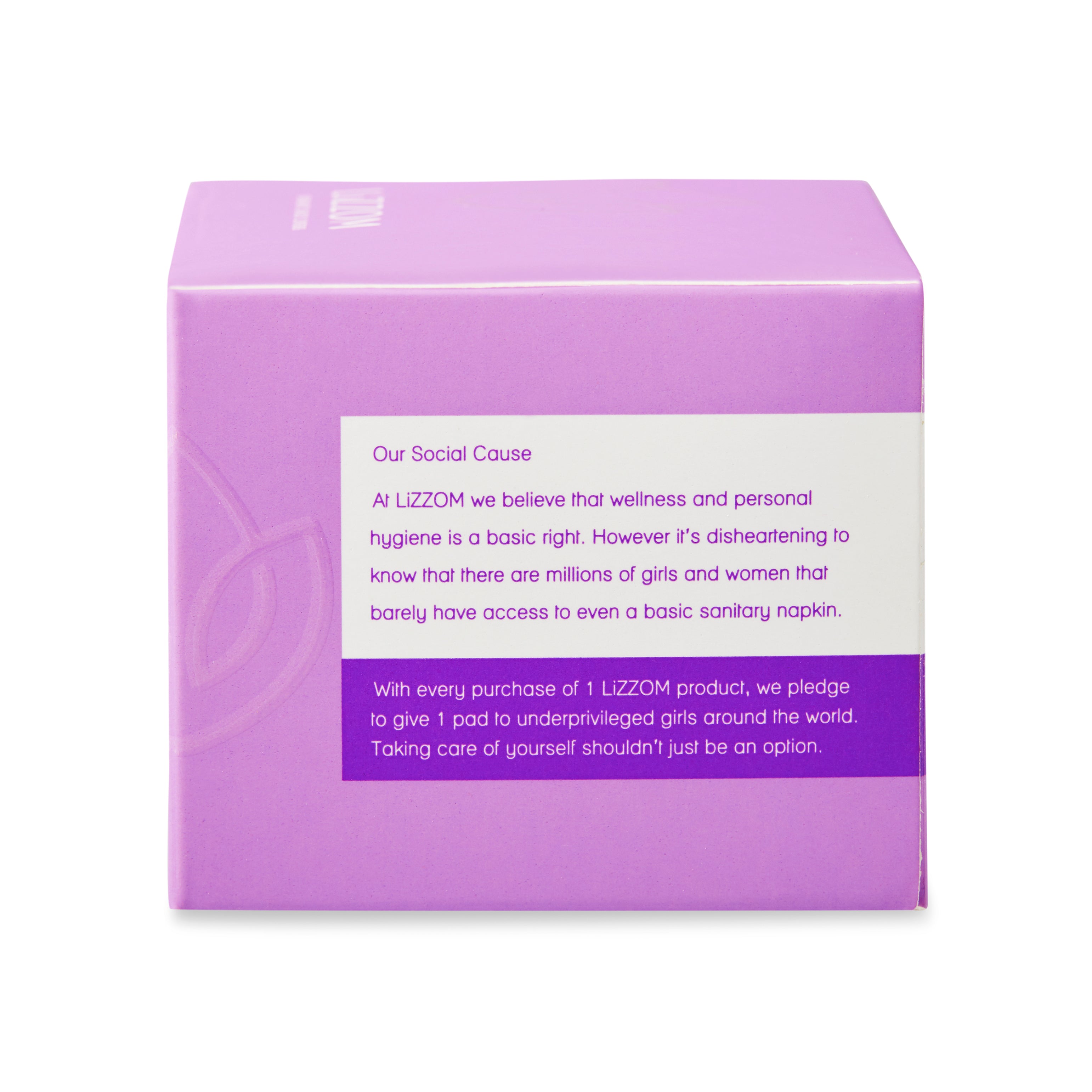 LiZZOM Organic Daily liners - Pack of 3 (60 Liners)