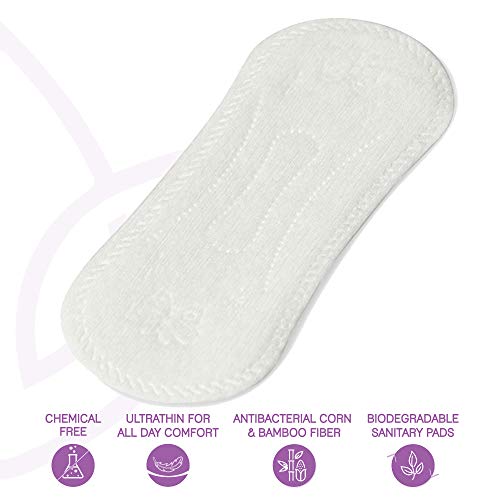 LiZZOM Organic Ultrathin daily Liners (20 Daily Liners)