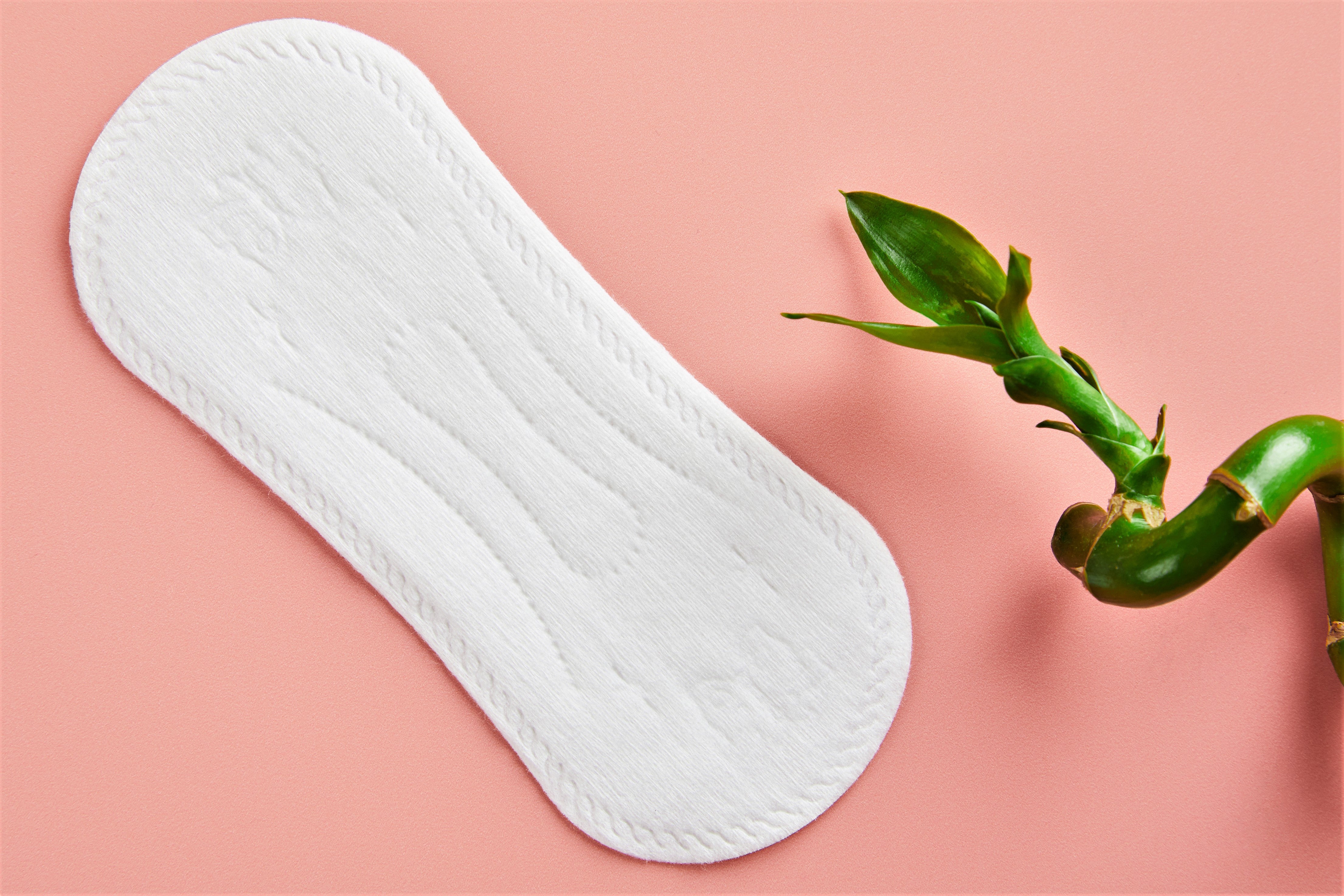LiZZOM Organic Ultrathin  Liners for daily use   (20 Daily Liners)