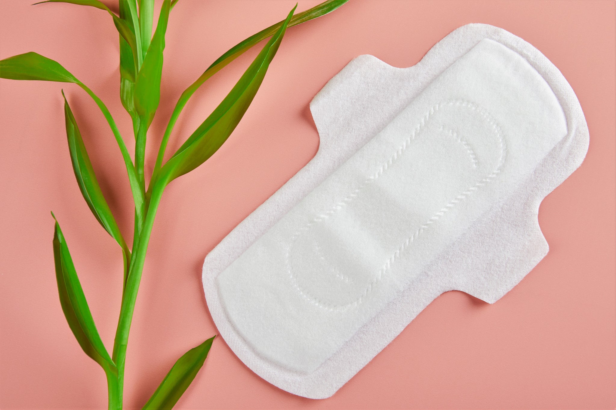 LiZZOM Basic Bundle Pack (A combination of 3 packs your chosen size of pads + 2 packs of your favourite daily liners)