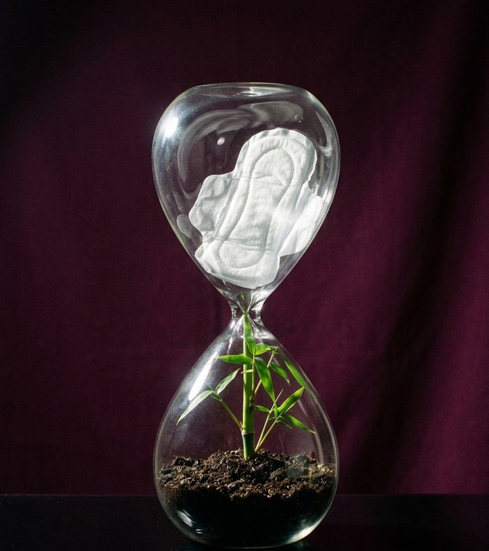 Hourglass with a plastic pad on top and soil with a bamboo shoot below